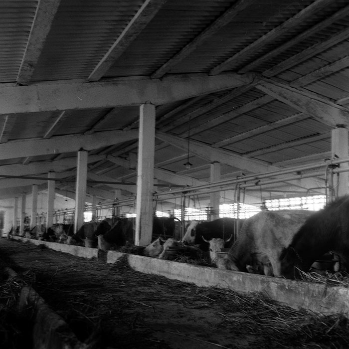 minerva_1986-1987_agrar_c4r4_058