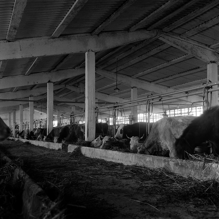 minerva_1986-1987_agrar_c4r4_059