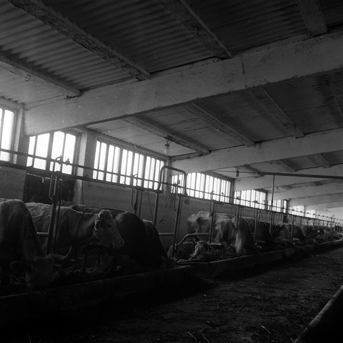 minerva_1986-1987_agrar_c4r4_060