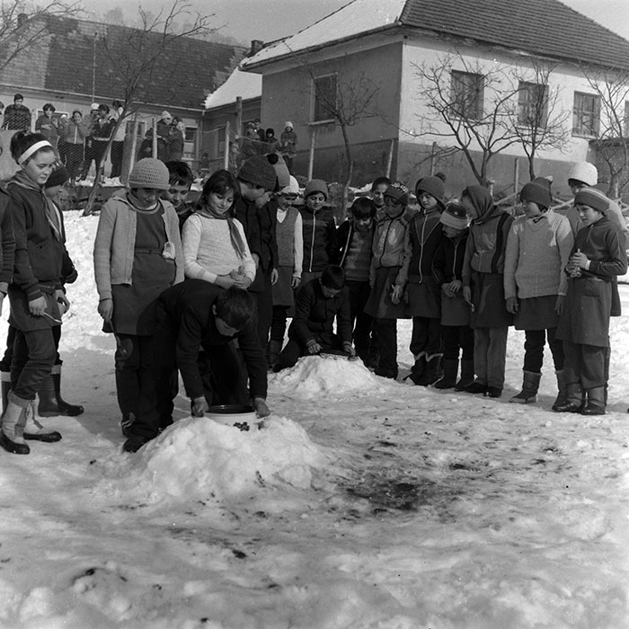 minerva_1986-1987_agrar_c4r5_002