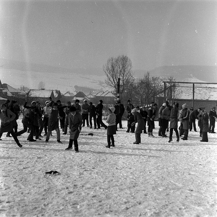 minerva_1986-1987_agrar_c4r5_003