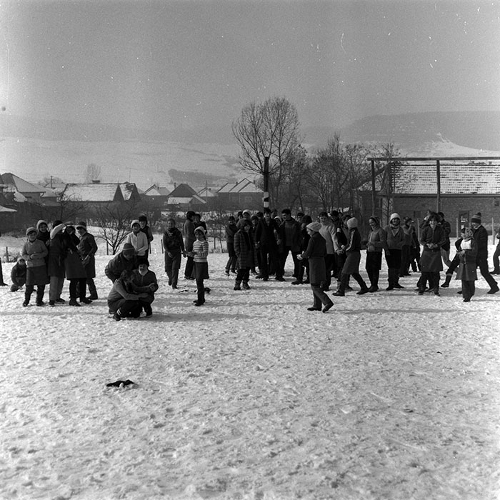 minerva_1986-1987_agrar_c4r5_004