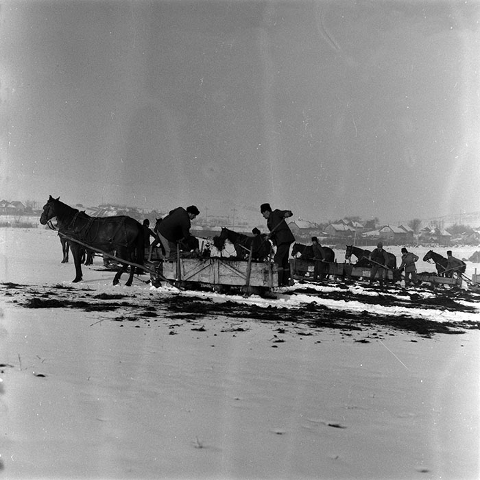 minerva_1986-1987_agrar_c4r5_007