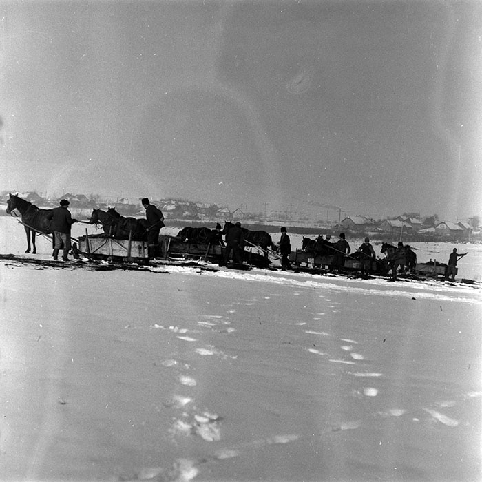 minerva_1986-1987_agrar_c4r5_008