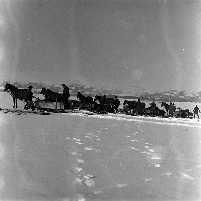 minerva_1986-1987_agrar_c4r5_009