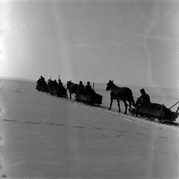 minerva_1986-1987_agrar_c4r5_010