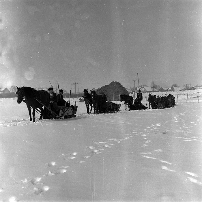 minerva_1986-1987_agrar_c4r5_011