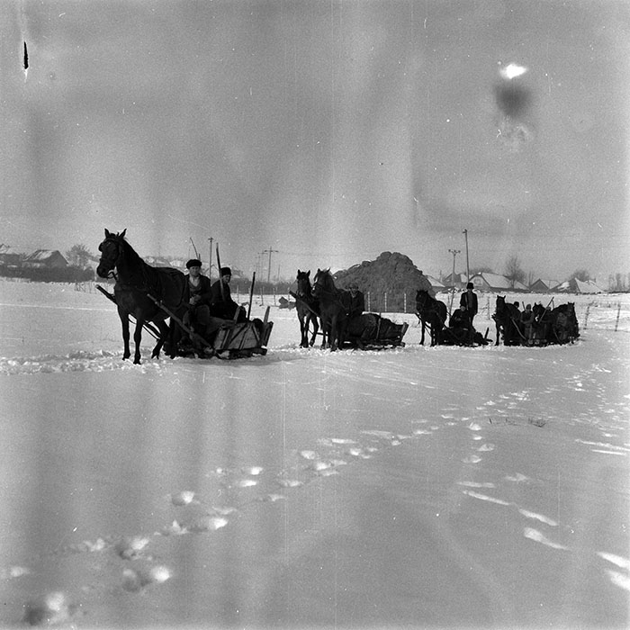 minerva_1986-1987_agrar_c4r5_012