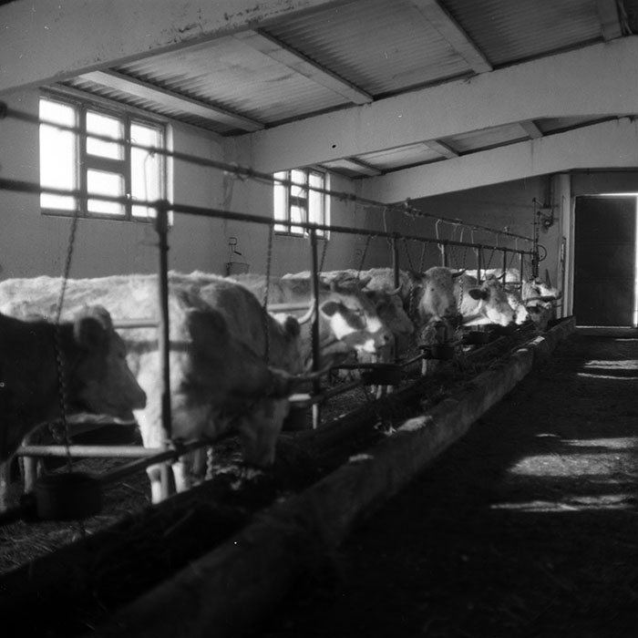 minerva_1986-1987_agrar_c4r5_013