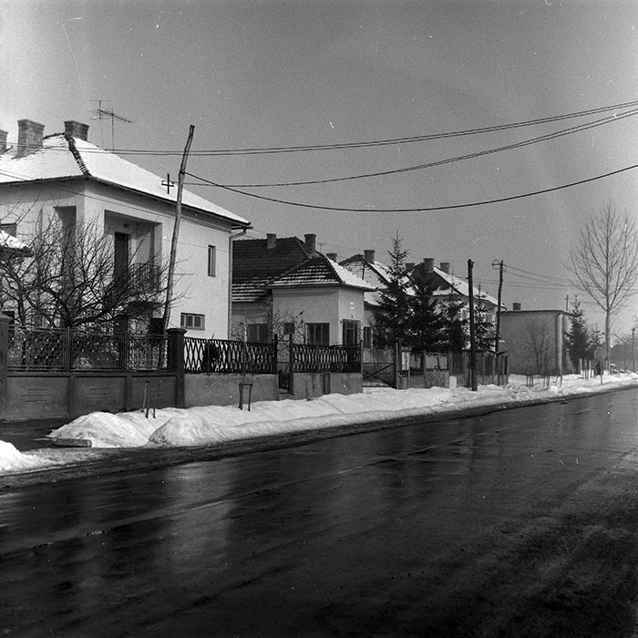 minerva_1986-1987_agrar_c4r5_018