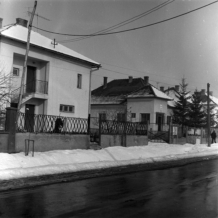 minerva_1986-1987_agrar_c4r5_019