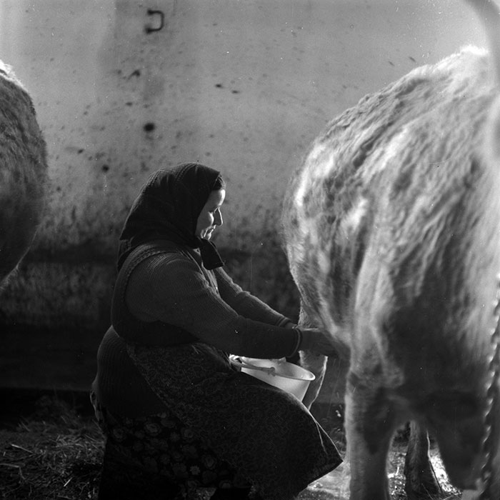 minerva_1986-1987_agrar_c4r5_025