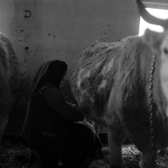 minerva_1986-1987_agrar_c4r5_026