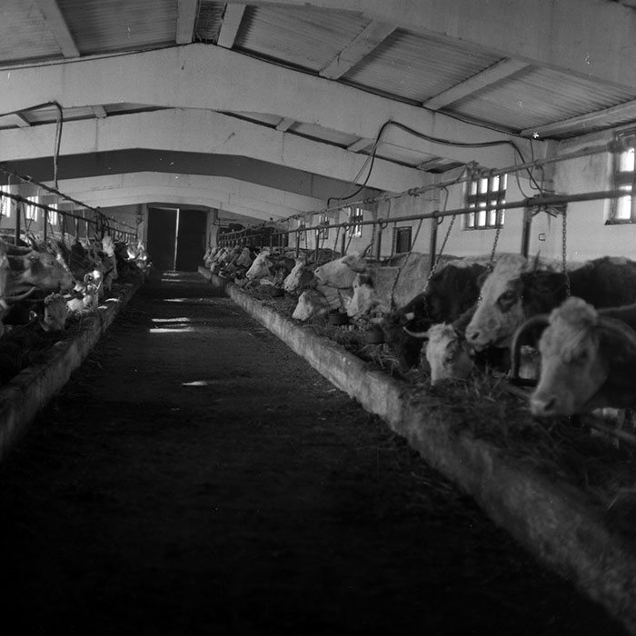 minerva_1986-1987_agrar_c4r5_030