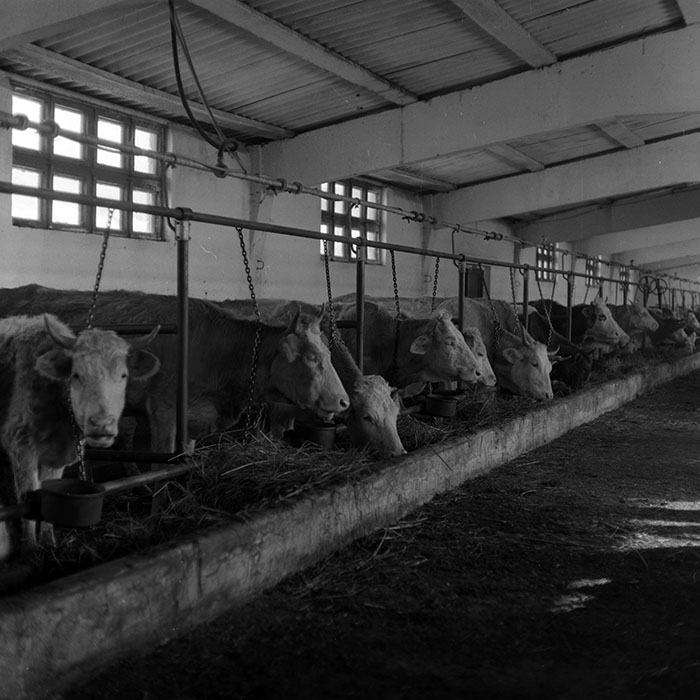 minerva_1986-1987_agrar_c4r5_032