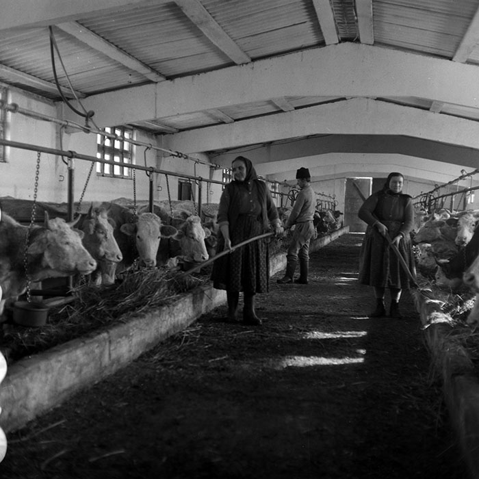 minerva_1986-1987_agrar_c4r5_035