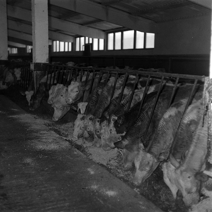 minerva_1986-1987_agrar_c5r1_001