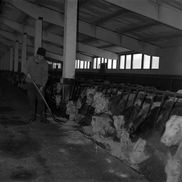 minerva_1986-1987_agrar_c5r1_003