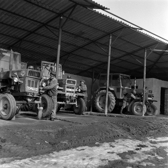 minerva_1986-1987_agrar_c5r2_001