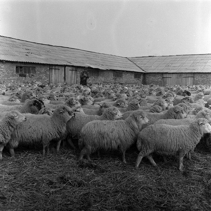 minerva_1986-1987_agrar_c5r2_003