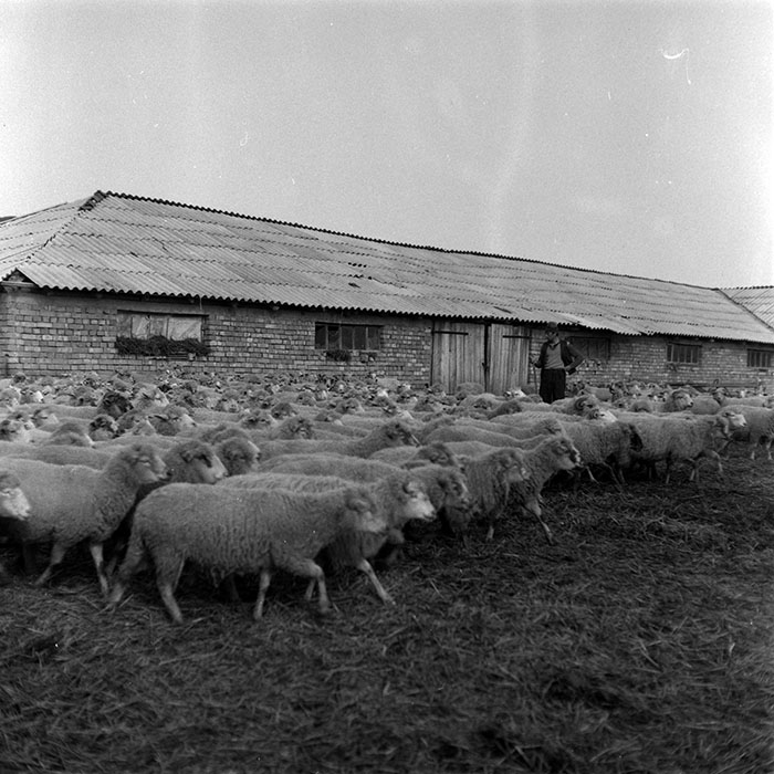 minerva_1986-1987_agrar_c5r2_004