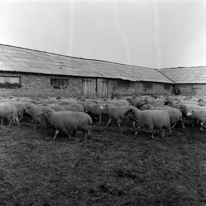 minerva_1986-1987_agrar_c5r2_006