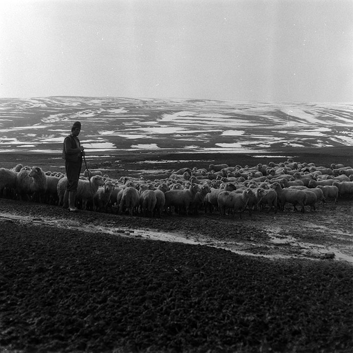 minerva_1986-1987_agrar_c5r2_010