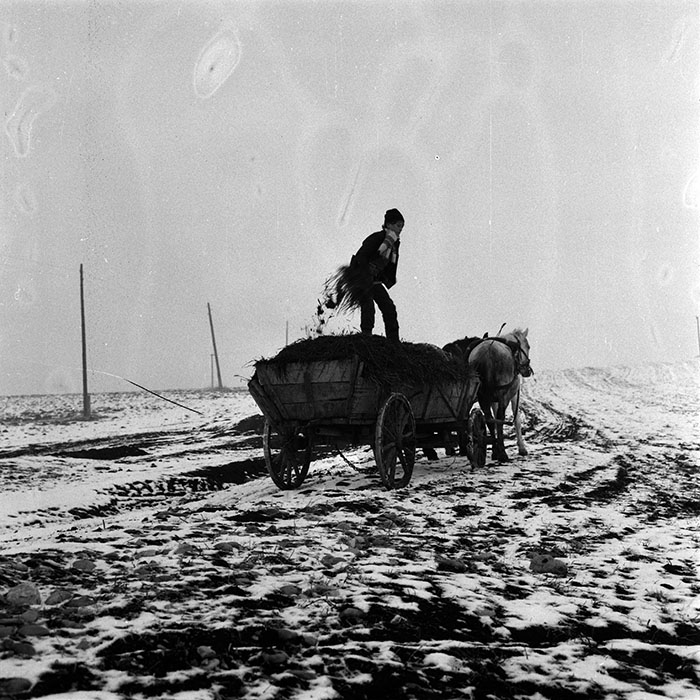 minerva_1986-1987_agrar_c5r3_002