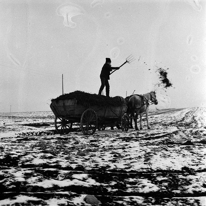 minerva_1986-1987_agrar_c5r3_004