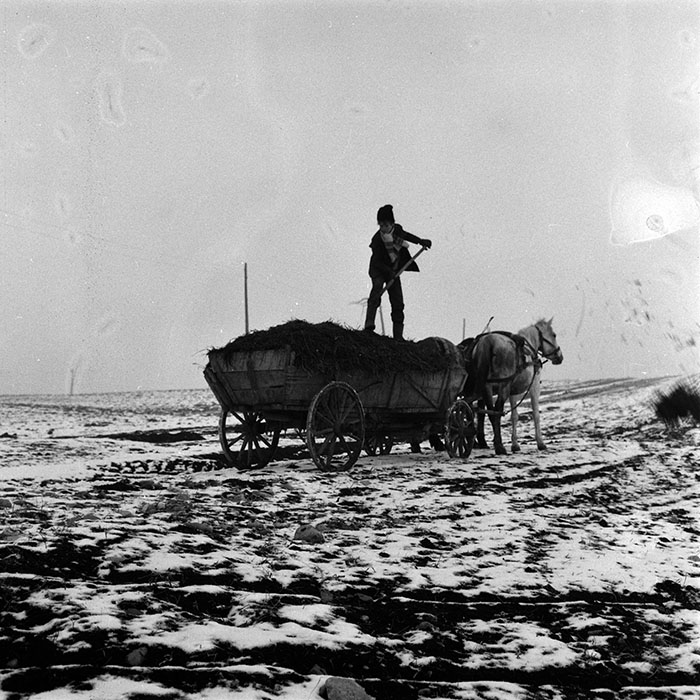 minerva_1986-1987_agrar_c5r3_005