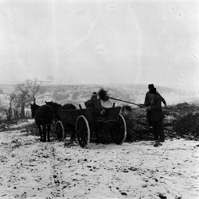 minerva_1986-1987_agrar_c5r3_006