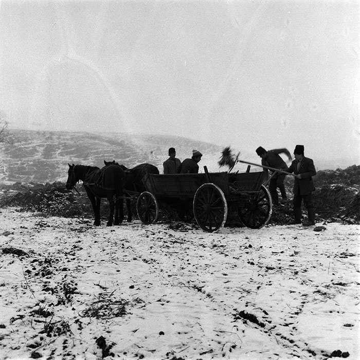 minerva_1986-1987_agrar_c5r3_007