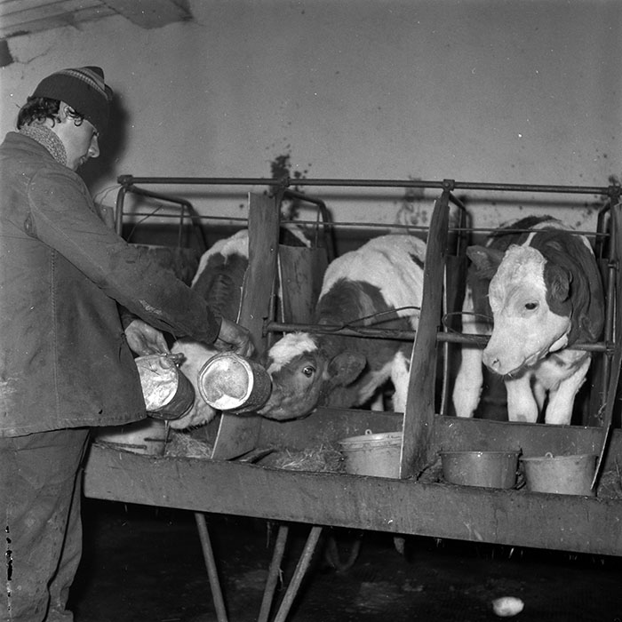 minerva_1986-1987_agrar_c5r4_002