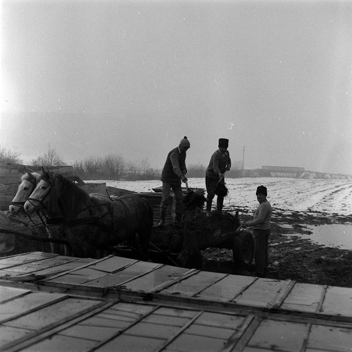 minerva_1986-1987_agrar_c5r4_007