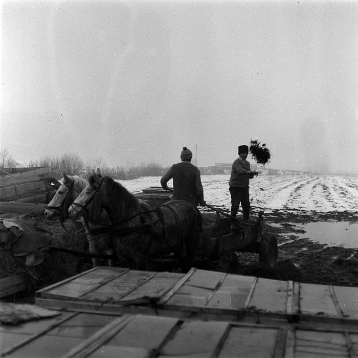 minerva_1986-1987_agrar_c5r4_011