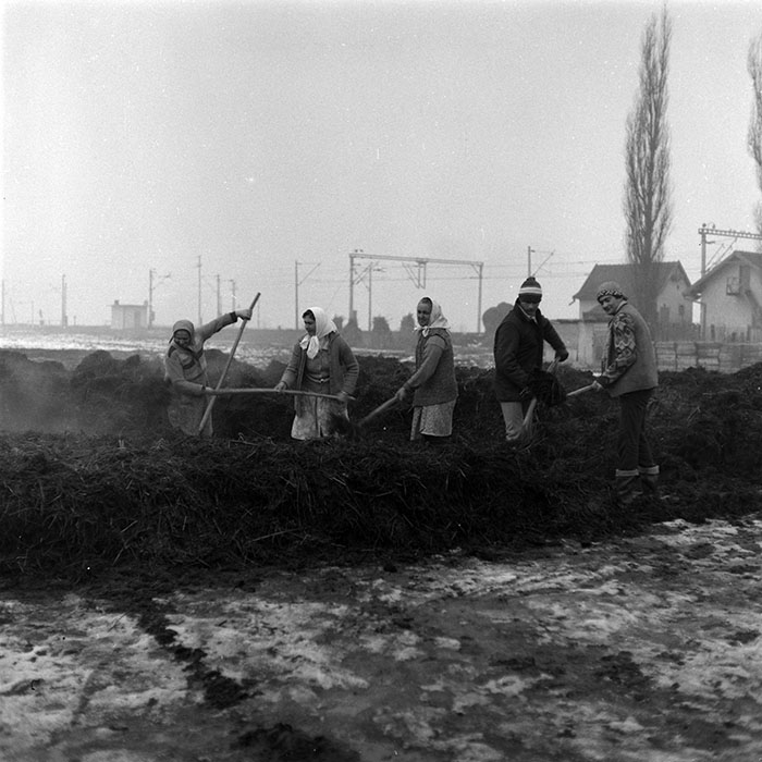 minerva_1986-1987_agrar_c5r4_012