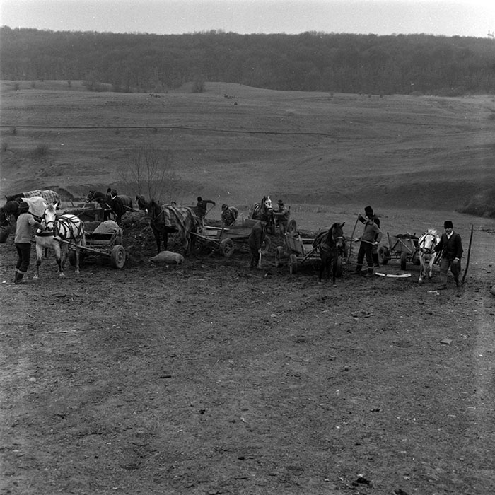 minerva_1986-1987_agrar_c6r1_001