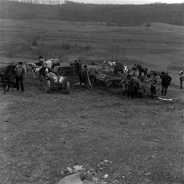 minerva_1986-1987_agrar_c6r1_002