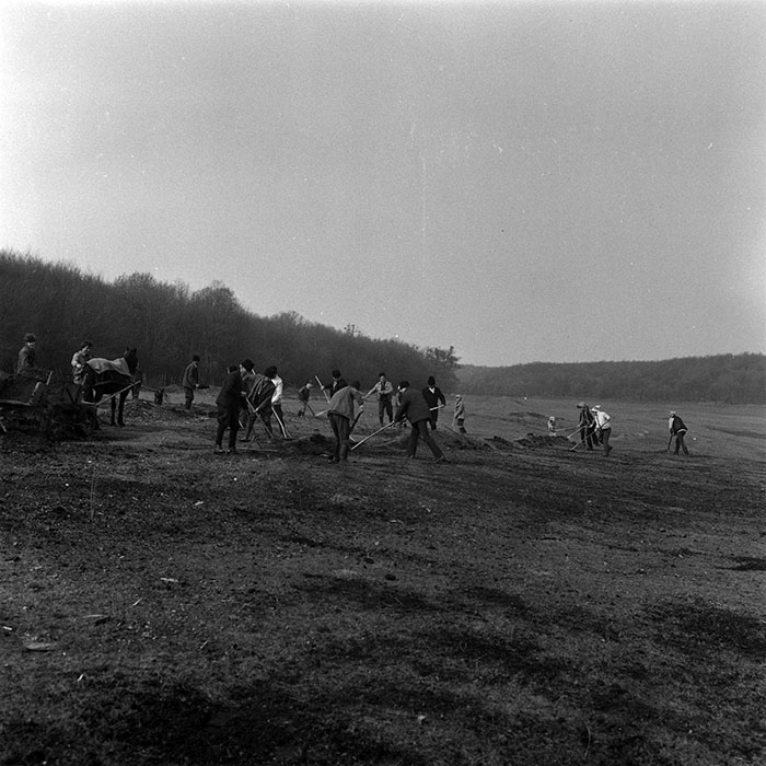 minerva_1986-1987_agrar_c6r1_005