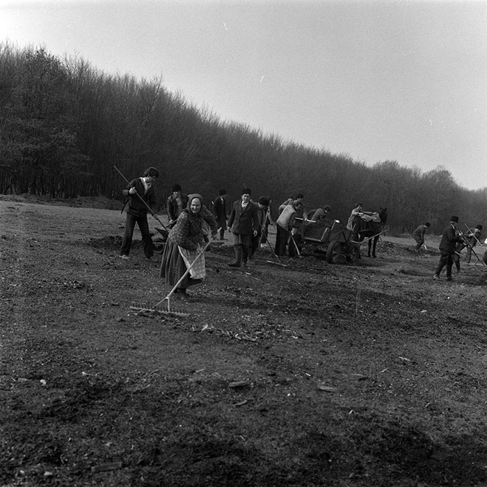 minerva_1986-1987_agrar_c6r1_006