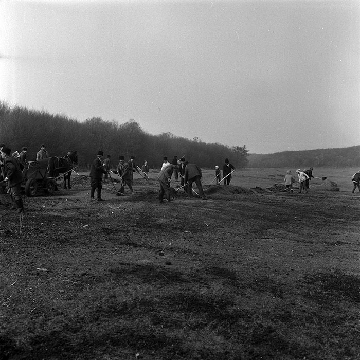 minerva_1986-1987_agrar_c6r1_007