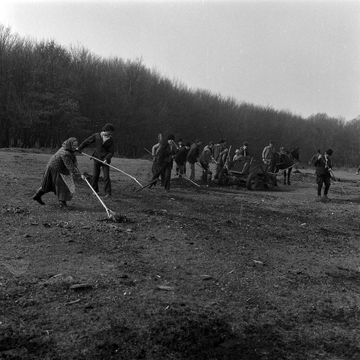 minerva_1986-1987_agrar_c6r1_008