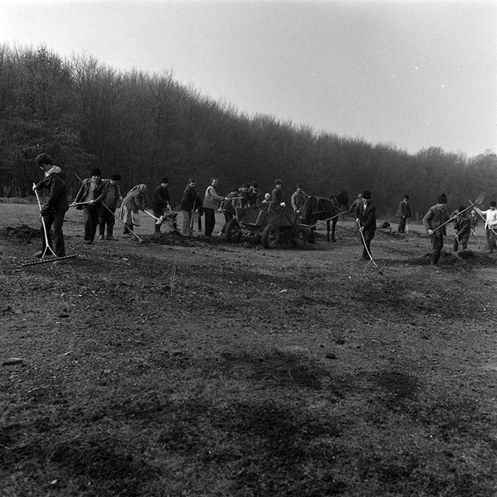 minerva_1986-1987_agrar_c6r1_009