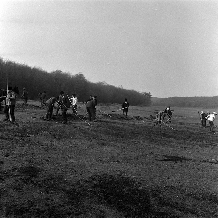 minerva_1986-1987_agrar_c6r1_010