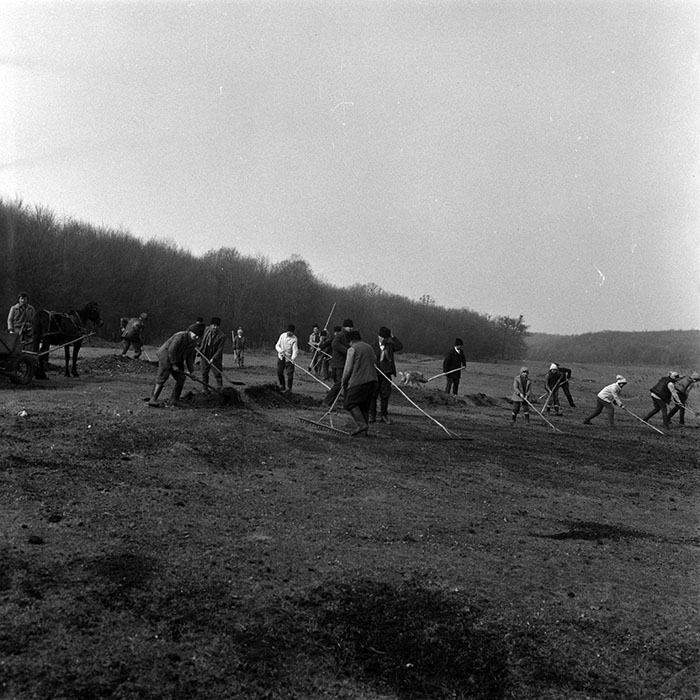 minerva_1986-1987_agrar_c6r1_011