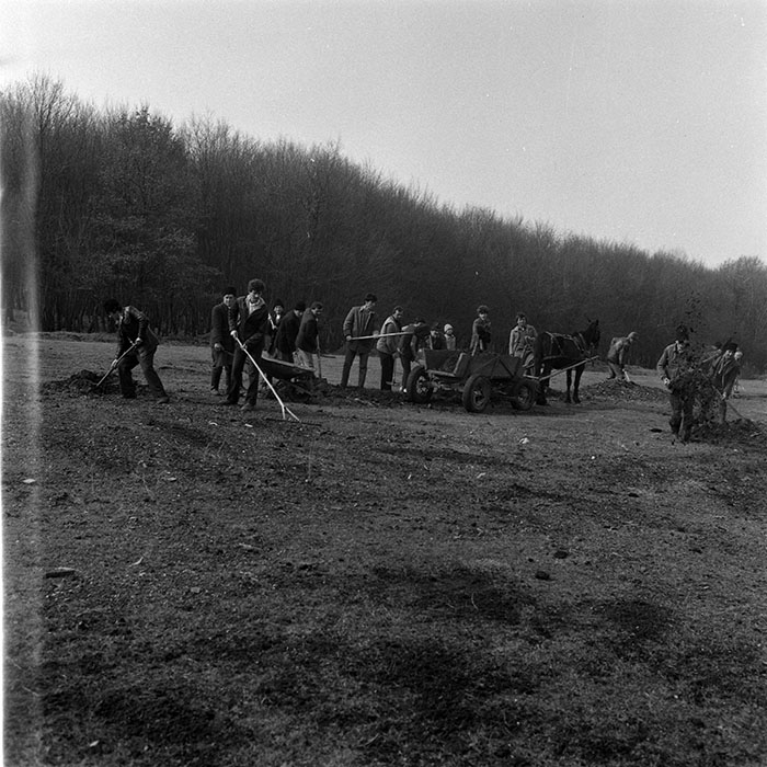 minerva_1986-1987_agrar_c6r1_012