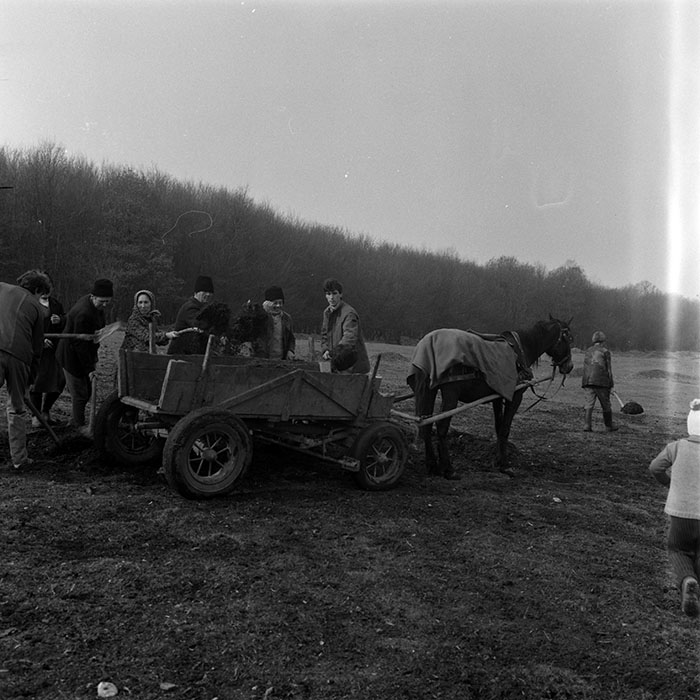 minerva_1986-1987_agrar_c6r1_014