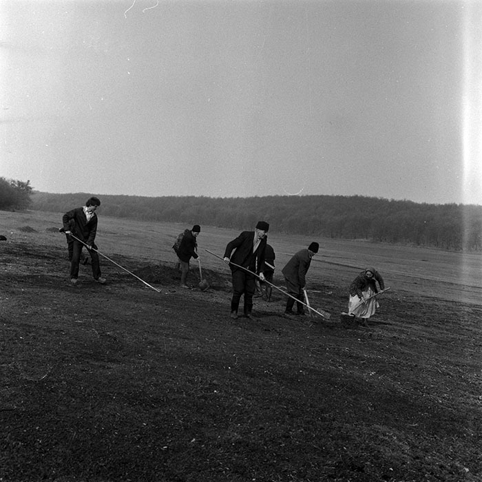 minerva_1986-1987_agrar_c6r1_015