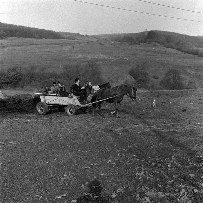 minerva_1986-1987_agrar_c6r1_022