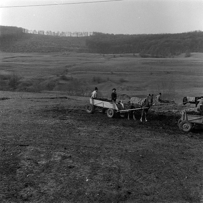 minerva_1986-1987_agrar_c6r1_023